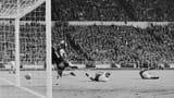 1966
