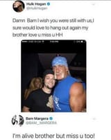 hogan-mergera