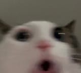 1747934137464141