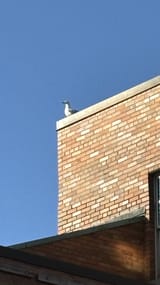IMG_6230