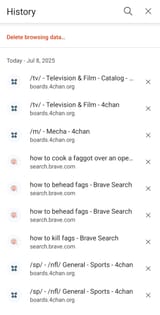 Screenshot_20250708_173515_Brave