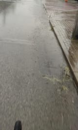 IMG_20250709_152346