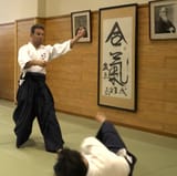 sir_mark_cavendish,_the_knight-samurai