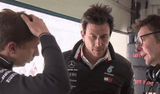 toto-cheeky-wolff