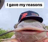 Max fish