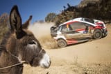 Burrito,_Rally_México_2018[1]