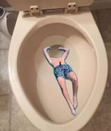 flushitdown