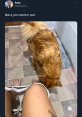 pee with my dog