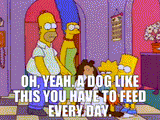 homer