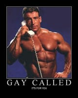 gay