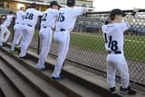 baseballdwarf