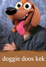 doggiedooscostanz