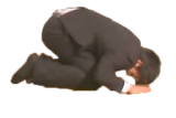 apology
