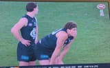 gaycarlton