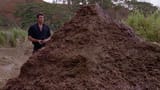 onebigpile