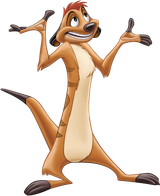 Timon