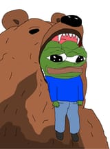 bear