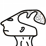 Brainletlagos
