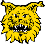Ilves_Tampere