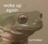 1752200156710636