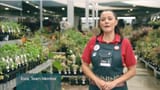 Esra - New Bunnings Girl