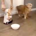 VID_20250711_073335_thumb.jpg