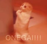 ONEGAI (please)