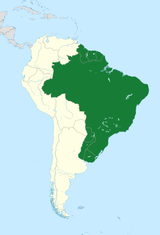 Brazil2100