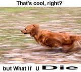 10929956_615591731874009_345079073356735902_n