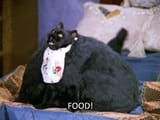 appreciation-post-salem-saberhagen-v0-ijqg48zs6v4b1