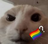 1741713768392711