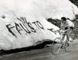 fausto