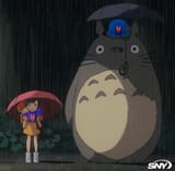 Totoro