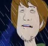shaggy