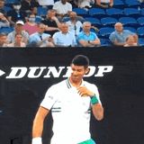 novak-djokovic-moth