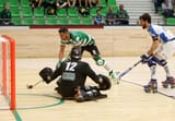 Hóquei sobre patins (1)