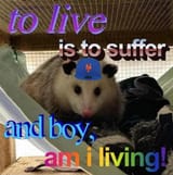 BoyAmIMesting
