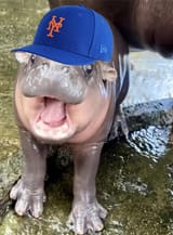 GXuUBFeW0AAGup8