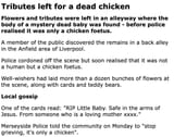 FireShot Capture 034 - BBC NEWS - UK - England - Merseyside - Tributes left for a dead chi_ - [news.bbc.co.uk]