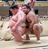 Takayasugrab