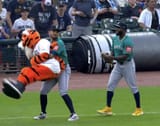 julio tiger