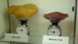 fat weight comparison