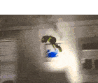 oof
