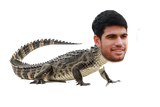 alligator-alcarath