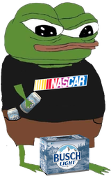 apu nascar busch light