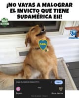 7651