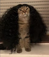 Cu-cu-cat