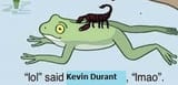 the hardest toad