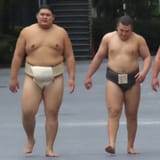 onosato aonishiki 2024