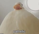 pathetic